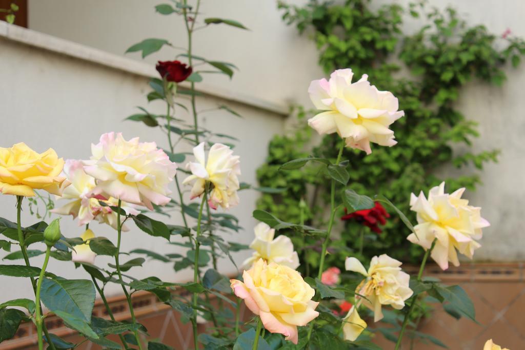 Apartamento Jardin De La Ribera. Cordova Esterno foto