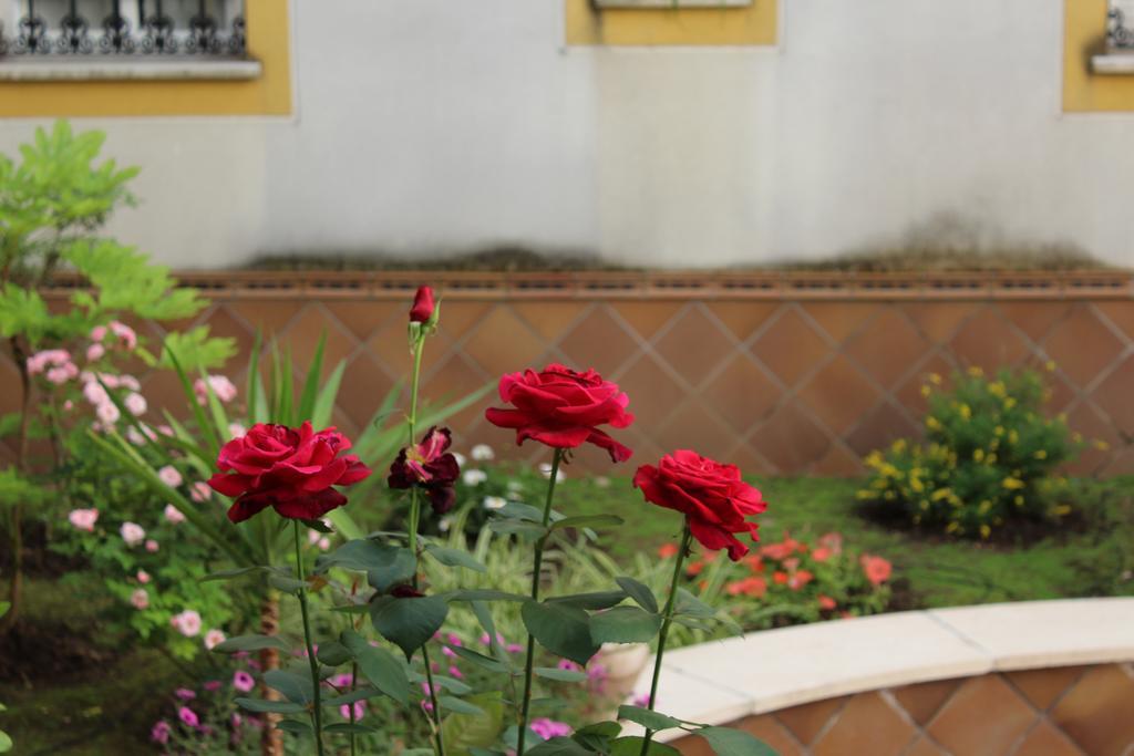 Apartamento Jardin De La Ribera. Cordova Esterno foto